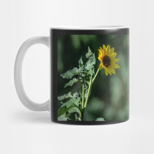 Wake Up and Follow the Sun Little Sunflower Mug